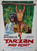 Tarzan wird gejagt (Tarzan and the Huntress)